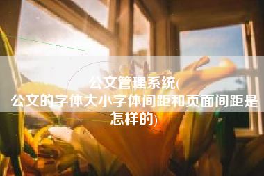 公文管理系统(
公文的字体大小字体间距和页面间距是怎样的) 公文管理系统(
公文的字体大小字体间距和页面间距是怎样的)