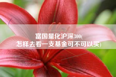 富国量化沪深300(
怎样去看一支基金可不可以买) 富国量化沪深300(
怎样去看一支基金可不可以买)