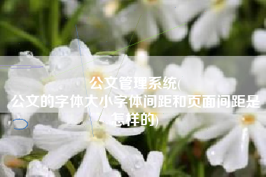公文管理系统(
公文的字体大小字体间距和页面间距是怎样的) 公文管理系统(
公文的字体大小字体间距和页面间距是怎样的)