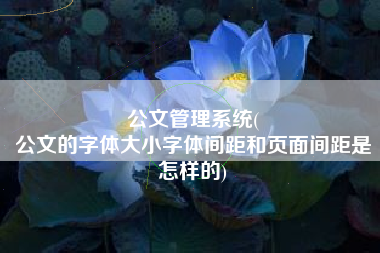 公文管理系统(
公文的字体大小字体间距和页面间距是怎样的) 公文管理系统(
公文的字体大小字体间距和页面间距是怎样的)