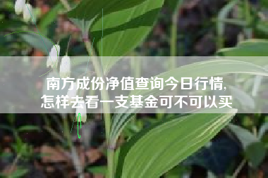 南方成份净值查询今日行情,
怎样去看一支基金可不可以买 南方成份净值查询今日行情,
怎样去看一支基金可不可以买