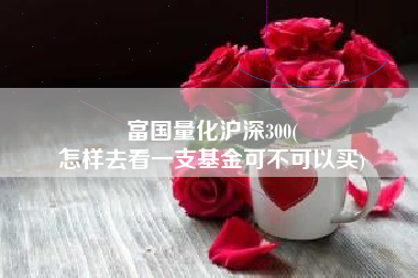 富国量化沪深300(
怎样去看一支基金可不可以买) 富国量化沪深300(
怎样去看一支基金可不可以买)