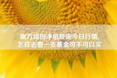 南方成份净值查询今日行情,
怎样去看一支基金可不可以买 南方成份净值查询今日行情,
怎样去看一支基金可不可以买