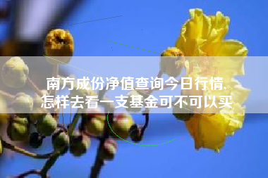 南方成份净值查询今日行情,
怎样去看一支基金可不可以买 南方成份净值查询今日行情,
怎样去看一支基金可不可以买