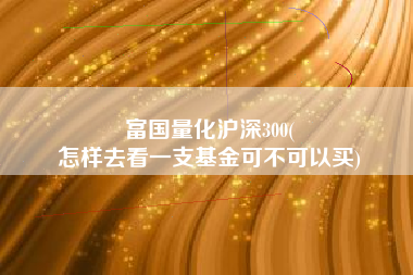 富国量化沪深300(
怎样去看一支基金可不可以买) 富国量化沪深300(
怎样去看一支基金可不可以买)