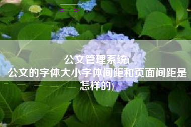 公文管理系统(
公文的字体大小字体间距和页面间距是怎样的) 公文管理系统(
公文的字体大小字体间距和页面间距是怎样的)