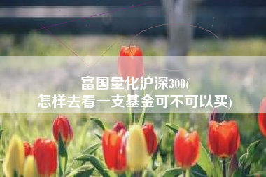富国量化沪深300(
怎样去看一支基金可不可以买) 富国量化沪深300(
怎样去看一支基金可不可以买)