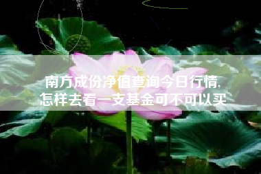 南方成份净值查询今日行情,
怎样去看一支基金可不可以买 南方成份净值查询今日行情,
怎样去看一支基金可不可以买