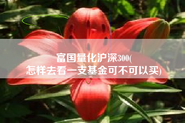 富国量化沪深300(
怎样去看一支基金可不可以买) 富国量化沪深300(
怎样去看一支基金可不可以买)