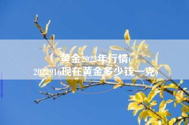 黄金2022年行情(
2022916现在黄金多少钱一克) 黄金2022年行情(
2022916现在黄金多少钱一克)