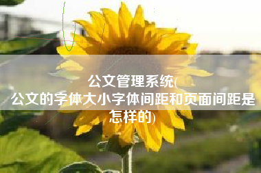 公文管理系统(
公文的字体大小字体间距和页面间距是怎样的) 公文管理系统(
公文的字体大小字体间距和页面间距是怎样的)