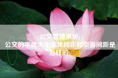 公文管理系统(
公文的字体大小字体间距和页面间距是怎样的) 公文管理系统(
公文的字体大小字体间距和页面间距是怎样的)