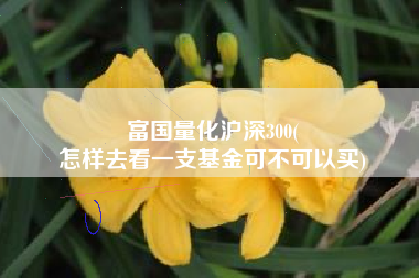 富国量化沪深300(
怎样去看一支基金可不可以买) 富国量化沪深300(
怎样去看一支基金可不可以买)