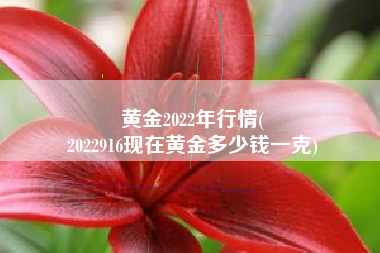 黄金2022年行情(
2022916现在黄金多少钱一克) 黄金2022年行情(
2022916现在黄金多少钱一克)