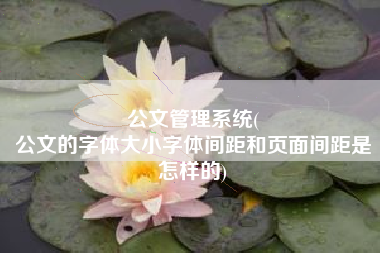 公文管理系统(
公文的字体大小字体间距和页面间距是怎样的) 公文管理系统(
公文的字体大小字体间距和页面间距是怎样的)