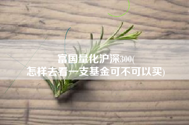 富国量化沪深300(
怎样去看一支基金可不可以买) 富国量化沪深300(
怎样去看一支基金可不可以买)