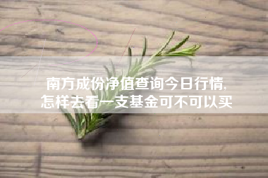 南方成份净值查询今日行情,
怎样去看一支基金可不可以买 南方成份净值查询今日行情,
怎样去看一支基金可不可以买