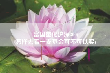 富国量化沪深300(
怎样去看一支基金可不可以买) 富国量化沪深300(
怎样去看一支基金可不可以买)