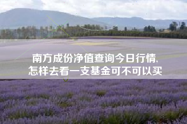 南方成份净值查询今日行情,
怎样去看一支基金可不可以买 南方成份净值查询今日行情,
怎样去看一支基金可不可以买