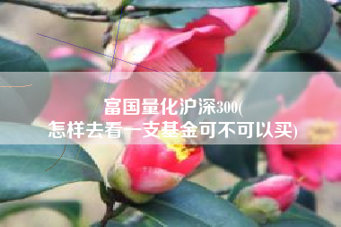 富国量化沪深300(
怎样去看一支基金可不可以买) 富国量化沪深300(
怎样去看一支基金可不可以买)