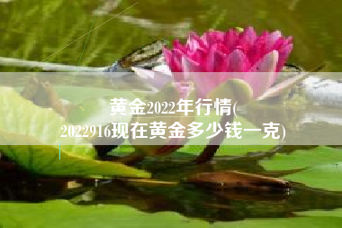 黄金2022年行情(
2022916现在黄金多少钱一克) 黄金2022年行情(
2022916现在黄金多少钱一克)