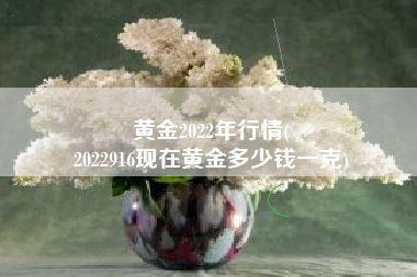 黄金2022年行情(
2022916现在黄金多少钱一克) 黄金2022年行情(
2022916现在黄金多少钱一克)