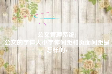 公文管理系统(
公文的字体大小字体间距和页面间距是怎样的) 公文管理系统(
公文的字体大小字体间距和页面间距是怎样的)