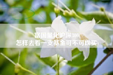 富国量化沪深300(
怎样去看一支基金可不可以买) 富国量化沪深300(
怎样去看一支基金可不可以买)