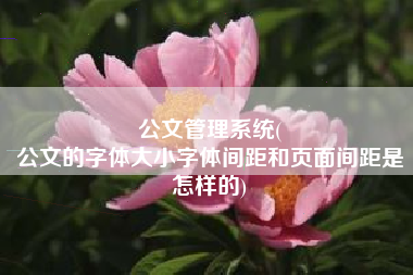 公文管理系统(
公文的字体大小字体间距和页面间距是怎样的) 公文管理系统(
公文的字体大小字体间距和页面间距是怎样的)