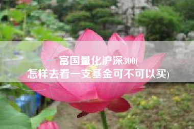 富国量化沪深300(
怎样去看一支基金可不可以买) 富国量化沪深300(
怎样去看一支基金可不可以买)