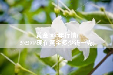 黄金2022年行情(
2022916现在黄金多少钱一克) 黄金2022年行情(
2022916现在黄金多少钱一克)