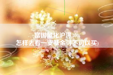 富国量化沪深300(
怎样去看一支基金可不可以买) 富国量化沪深300(
怎样去看一支基金可不可以买)