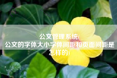 公文管理系统(
公文的字体大小字体间距和页面间距是怎样的) 公文管理系统(
公文的字体大小字体间距和页面间距是怎样的)