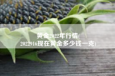 黄金2022年行情(
2022916现在黄金多少钱一克) 黄金2022年行情(
2022916现在黄金多少钱一克)