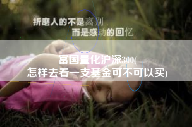 富国量化沪深300(
怎样去看一支基金可不可以买) 富国量化沪深300(
怎样去看一支基金可不可以买)