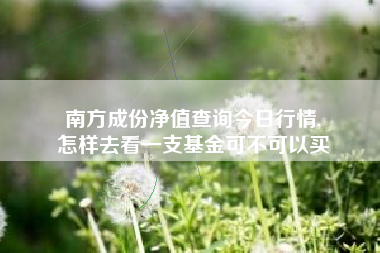 南方成份净值查询今日行情,
怎样去看一支基金可不可以买 南方成份净值查询今日行情,
怎样去看一支基金可不可以买