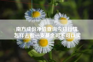 南方成份净值查询今日行情,
怎样去看一支基金可不可以买 南方成份净值查询今日行情,
怎样去看一支基金可不可以买