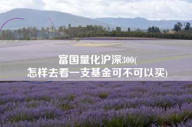 富国量化沪深300(
怎样去看一支基金可不可以买) 富国量化沪深300(
怎样去看一支基金可不可以买)