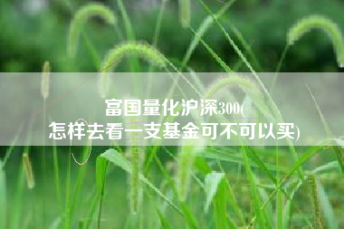 富国量化沪深300(
怎样去看一支基金可不可以买) 富国量化沪深300(
怎样去看一支基金可不可以买)