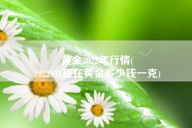 黄金2022年行情(
2022916现在黄金多少钱一克) 黄金2022年行情(
2022916现在黄金多少钱一克)