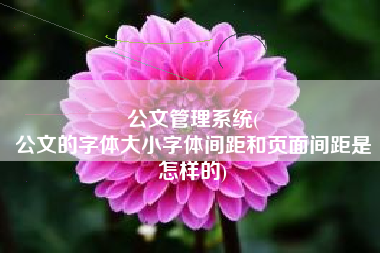 公文管理系统(
公文的字体大小字体间距和页面间距是怎样的) 公文管理系统(
公文的字体大小字体间距和页面间距是怎样的)