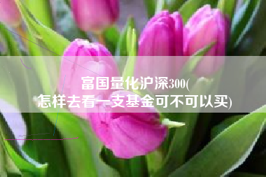 富国量化沪深300(
怎样去看一支基金可不可以买) 富国量化沪深300(
怎样去看一支基金可不可以买)
