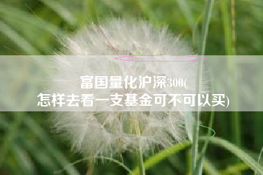 富国量化沪深300(
怎样去看一支基金可不可以买) 富国量化沪深300(
怎样去看一支基金可不可以买)
