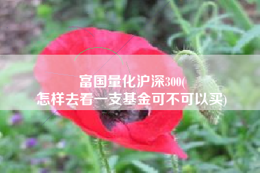 富国量化沪深300(
怎样去看一支基金可不可以买) 富国量化沪深300(
怎样去看一支基金可不可以买)