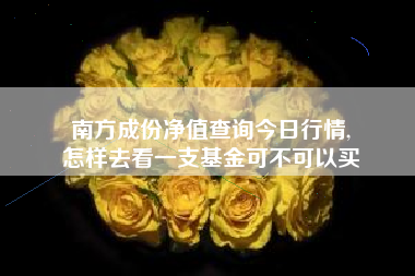 南方成份净值查询今日行情,
怎样去看一支基金可不可以买 南方成份净值查询今日行情,
怎样去看一支基金可不可以买