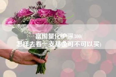 富国量化沪深300(
怎样去看一支基金可不可以买) 富国量化沪深300(
怎样去看一支基金可不可以买)