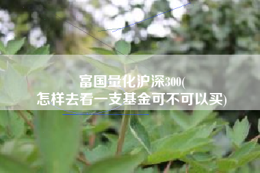 富国量化沪深300(
怎样去看一支基金可不可以买) 富国量化沪深300(
怎样去看一支基金可不可以买)