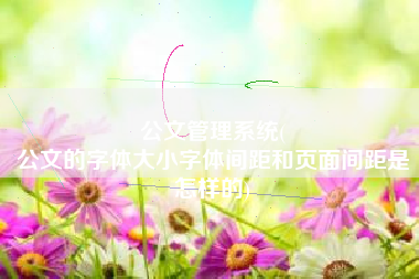 公文管理系统(
公文的字体大小字体间距和页面间距是怎样的) 公文管理系统(
公文的字体大小字体间距和页面间距是怎样的)