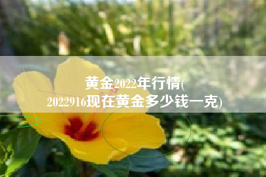 黄金2022年行情(
2022916现在黄金多少钱一克) 黄金2022年行情(
2022916现在黄金多少钱一克)