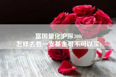 富国量化沪深300(
怎样去看一支基金可不可以买) 富国量化沪深300(
怎样去看一支基金可不可以买)
